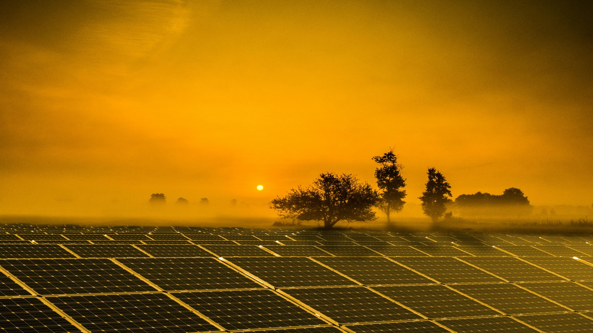 Solar panels at sunrise in a misty field